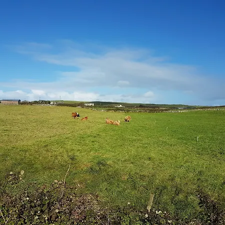 Bed & Breakfast Blackberry