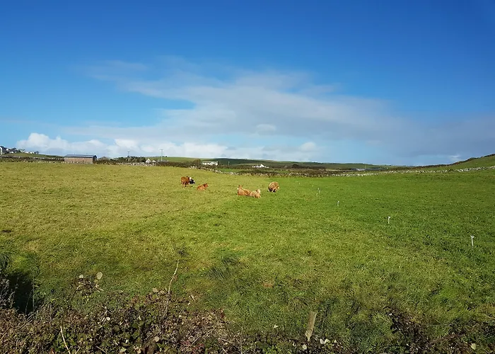 לינה וארוחת בוקר Blackberry