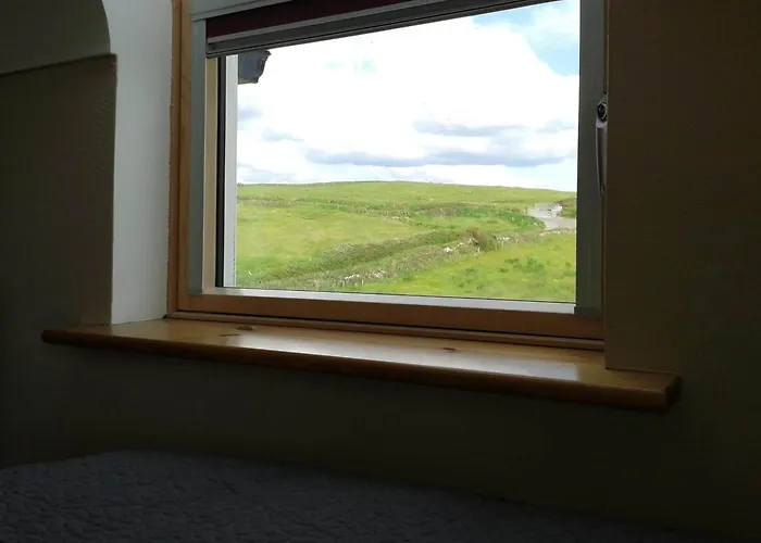 Blackberry דולין